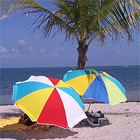 Beach umbrellas on Key Biscayne Beach, Crandon Park, Key Biscayne