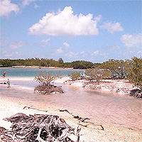 Boca Chita windward side of the island (East side)